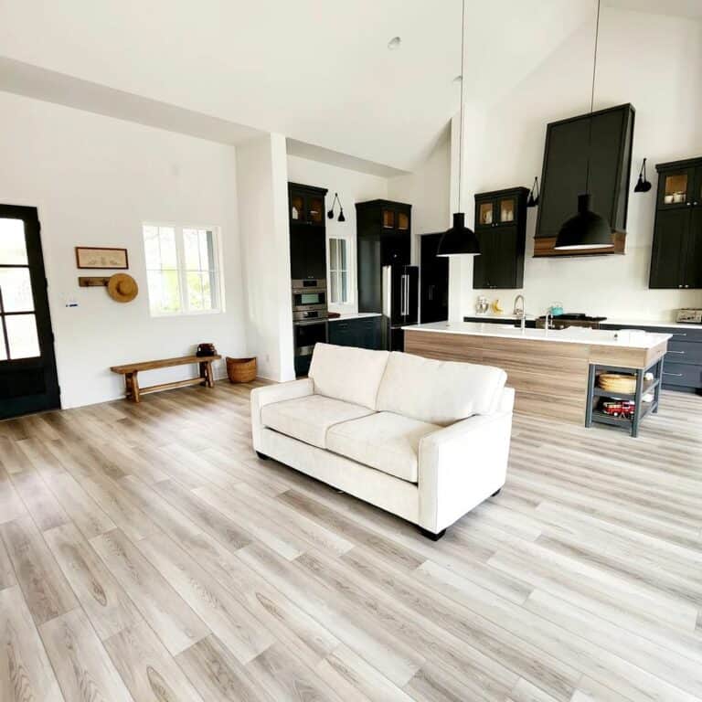 Vaulted Living Room Ceiling Ideas With Bright White Paint