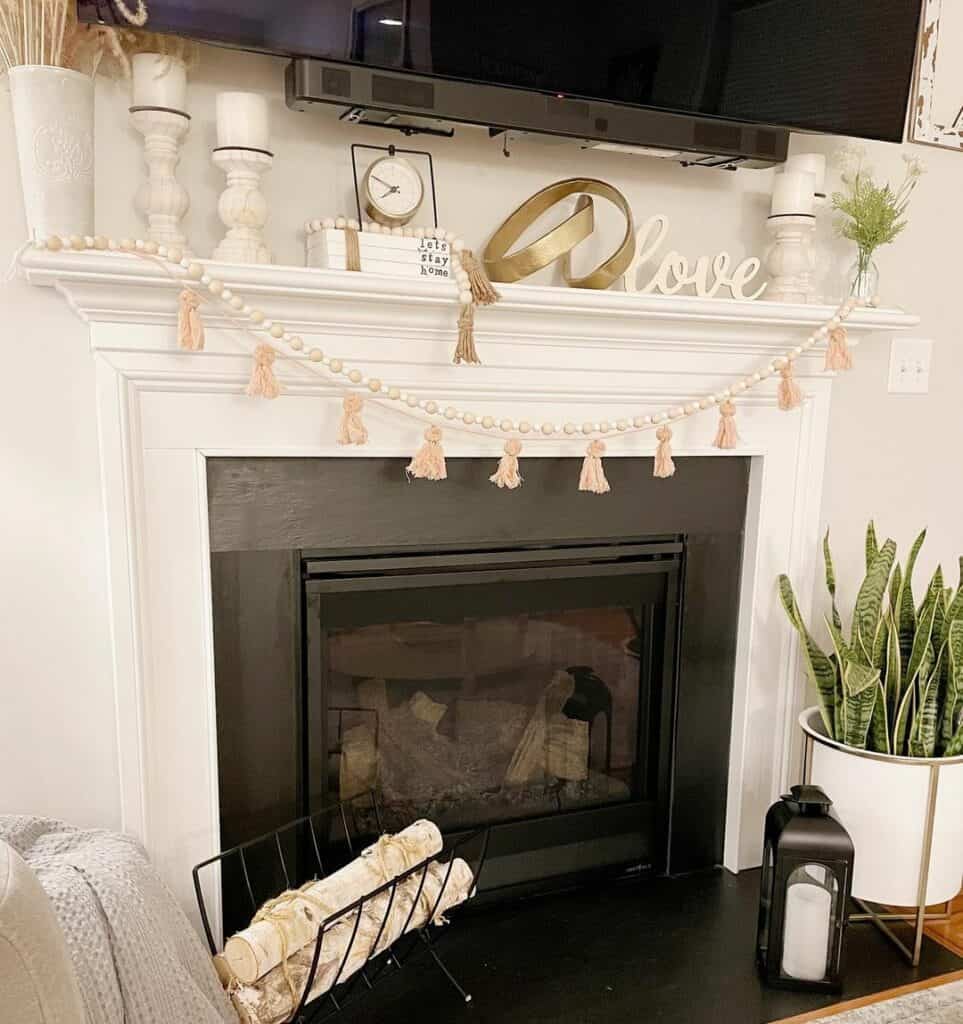 Black Fireplace Hearth With Potted Plant