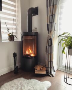 Capsule Wood Burning Stove With Black Iron Firewood Tray