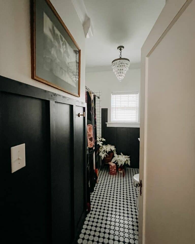 Cottage-style Bathroom With Deep Black Walls