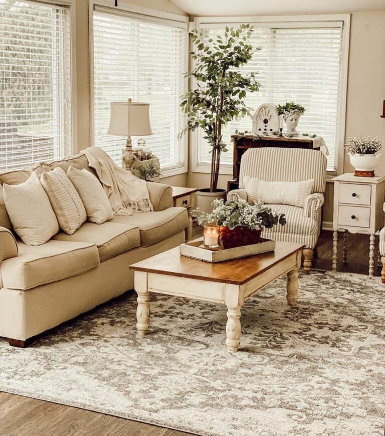 Cottage-syle Living Room With Potted Plants