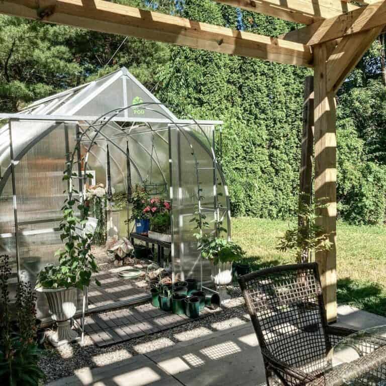 Light Wood Pergola With Greenhouse