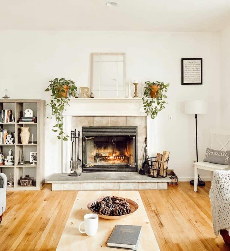 Living Room Fireplace With Potted Plants