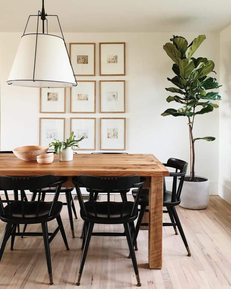 Modern Boho Dining Area With Tropical Plants