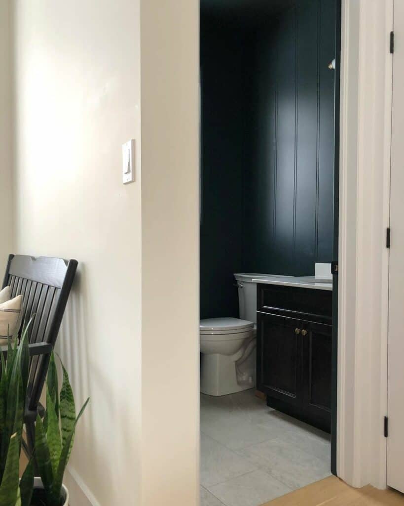 Moody Monochromatic Powder Room Accent Wall Soul & Lane
