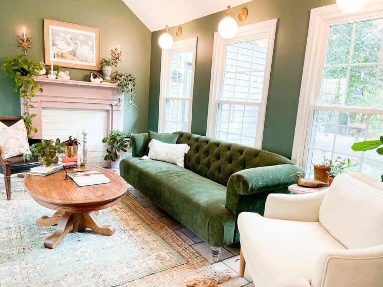 Organic Green With Pink Accents Living Room Color Ideas