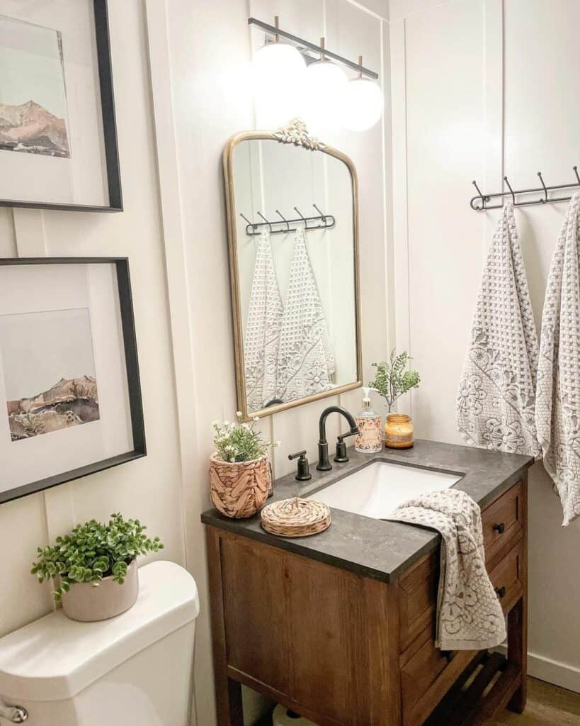 Rustic Vanity Accessorized With Potted Plants