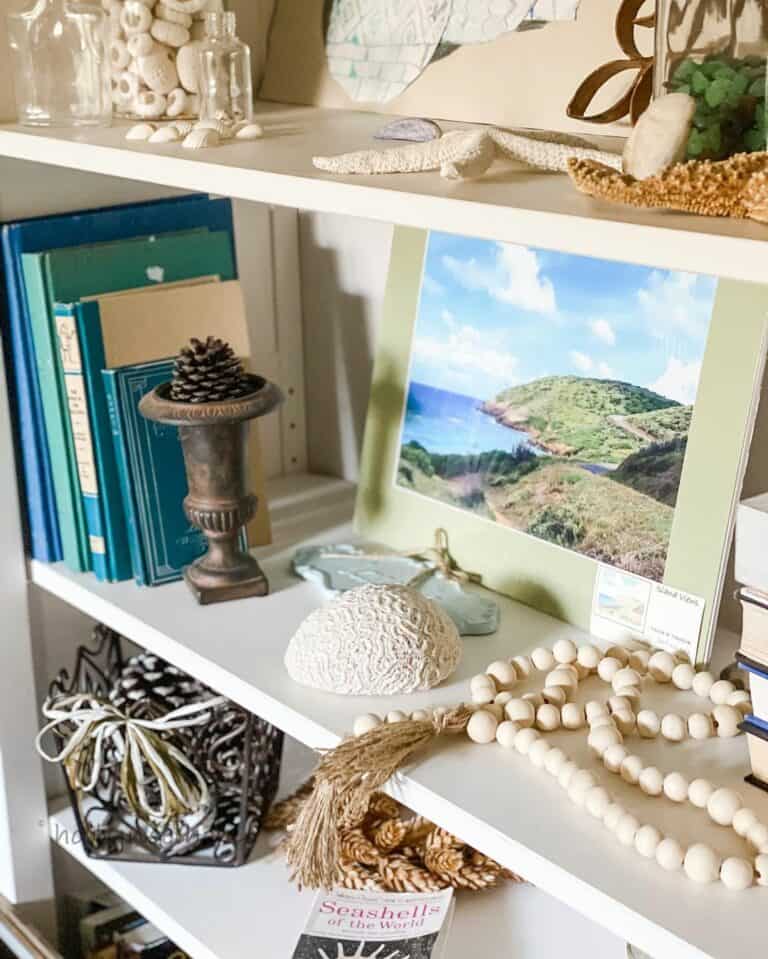 White Bookcase With Coastal Décor
