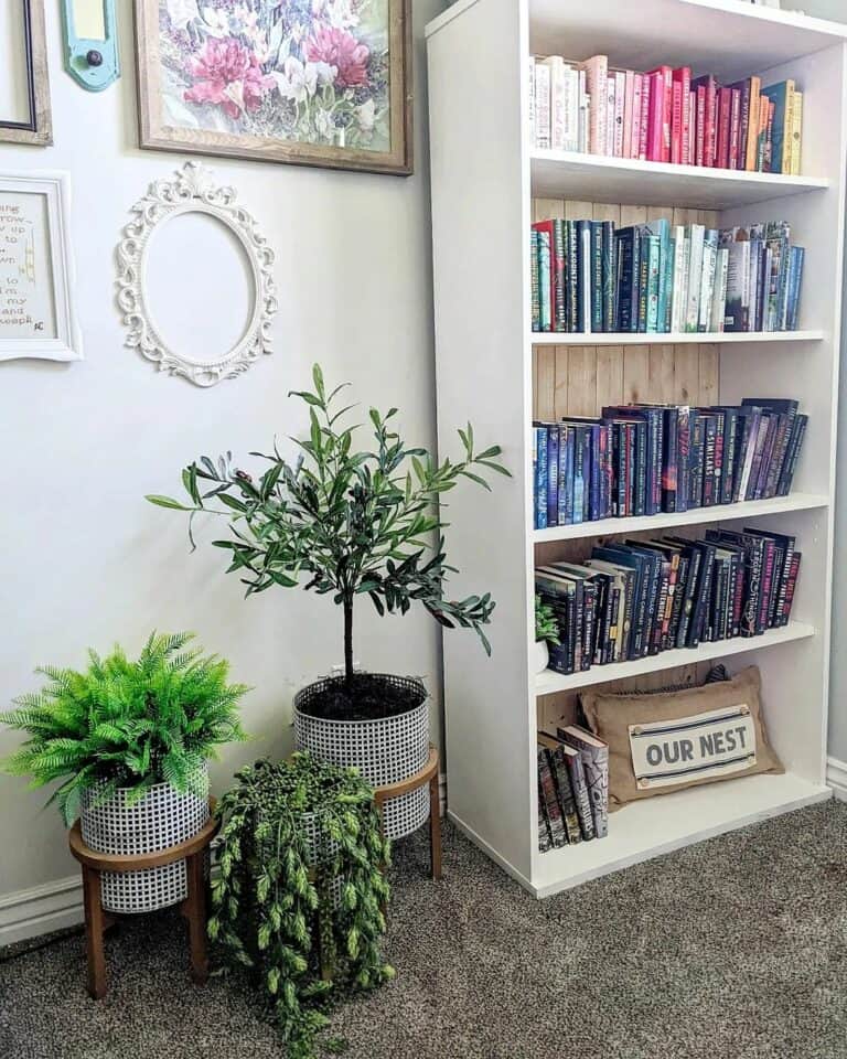 White Bookcase With Color-coordinated Books