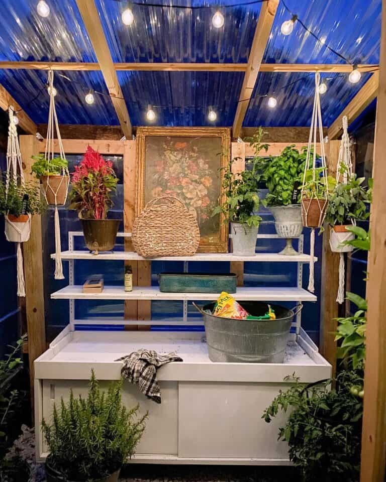 Adorable Greenhouse With Transparent Panels