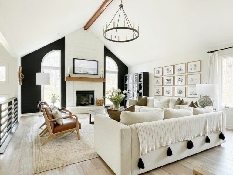 Black-and-White Vaulted Living Room With Natural Light