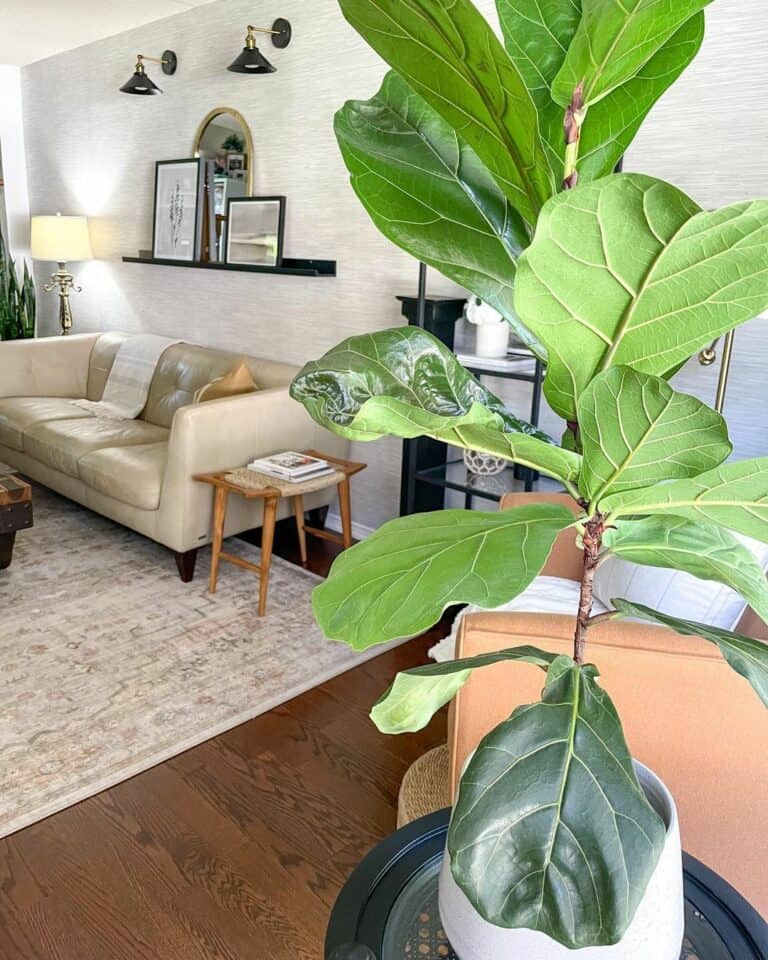 Cream Grass Weave Wallpaper for Living Room