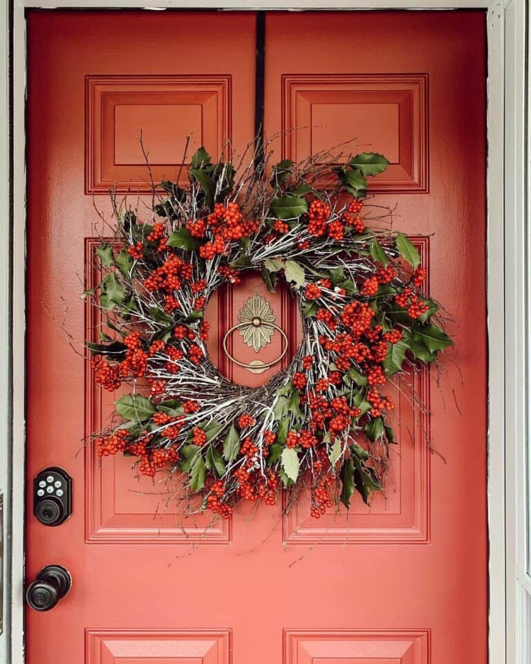 Door Knocker Complements Vibrant Paint