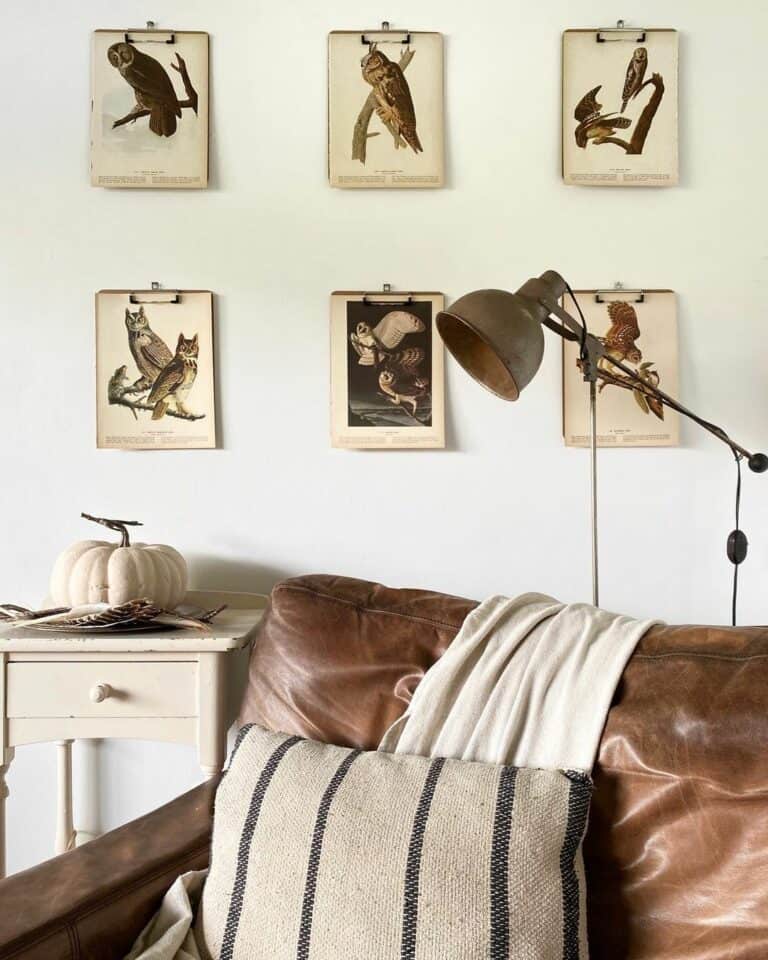 Fall-themed Room With Audubon Prints