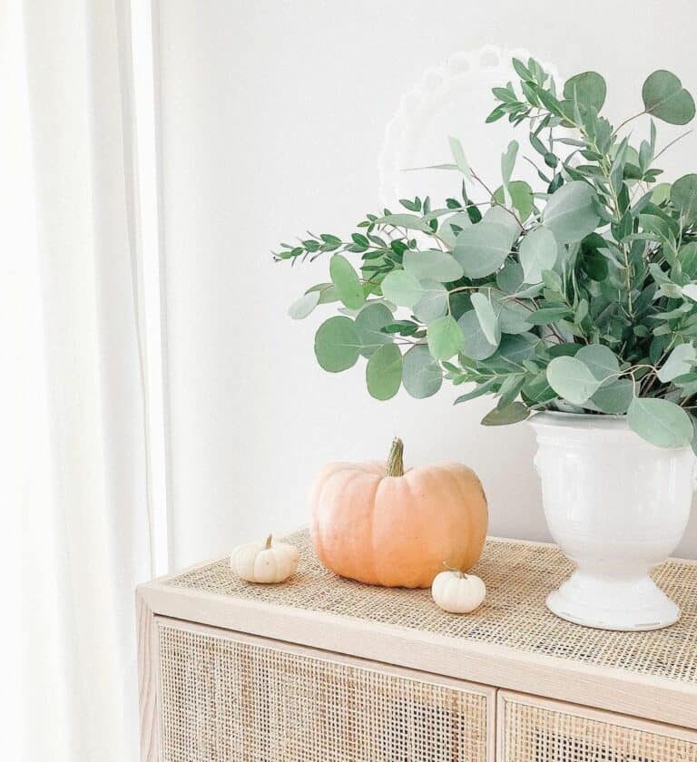 Light Wood Cane Sideboard With Pumpkins