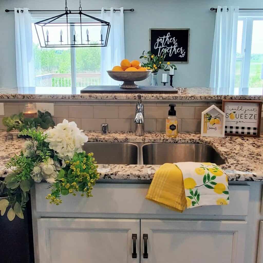 Stainless Kitchen Sink With Lemon Dishcloths