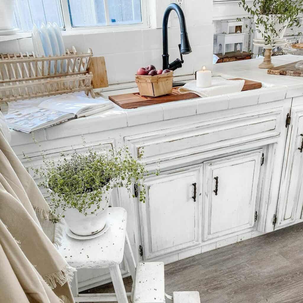Vintage Cottage Kitchen With Plant Décor