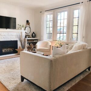 Pale Neutral Living Room