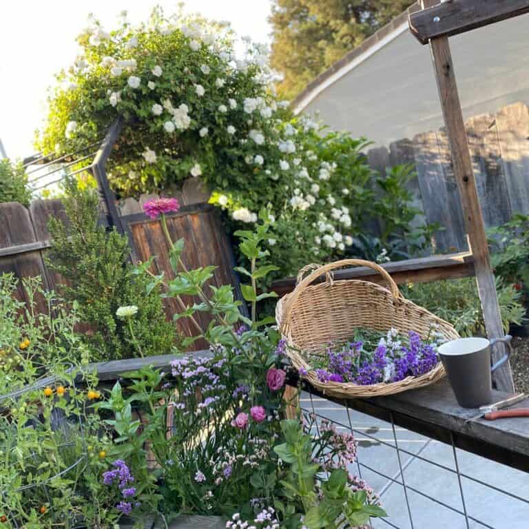 Backyard Garden With Woven Flower Gathering Basket