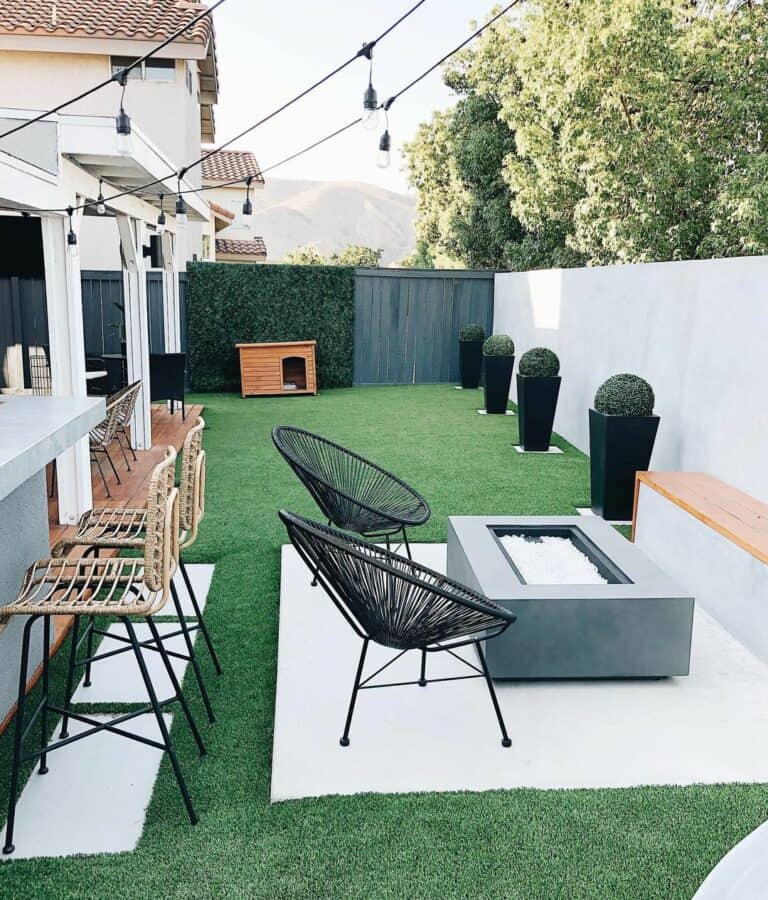 Backyard With Grass Ball Topiaries
