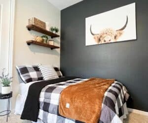 Black Bedroom Accent Wall With Animal Artwork