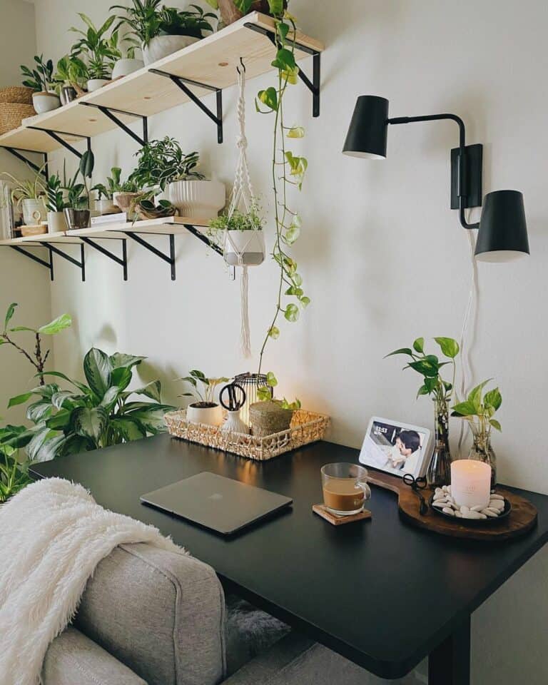 Black Desk With Plant-filled Shelves