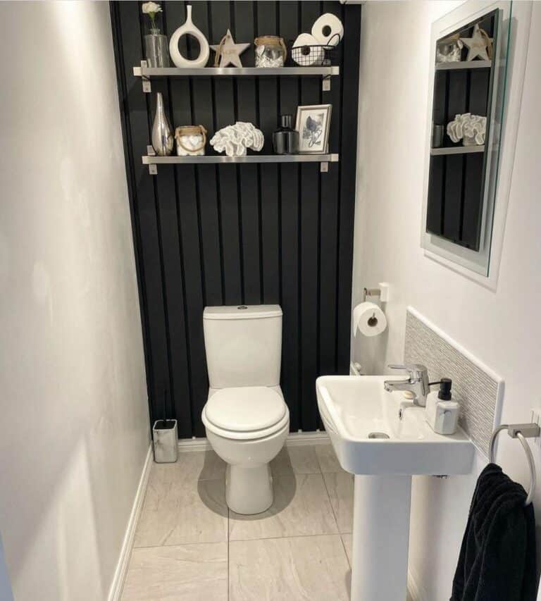 Black and White Statement Bathroom