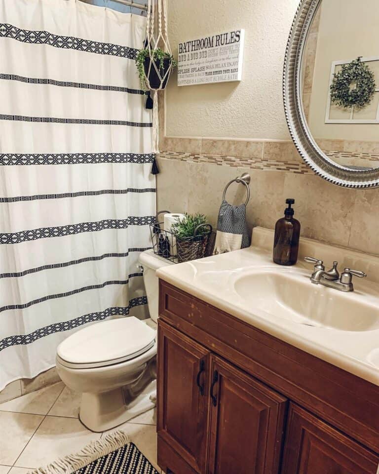 Blue and White Farmhouse Bathroom With Hanging Plants