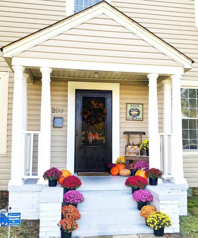 Colorful Flowers Lead to a Stunning Display