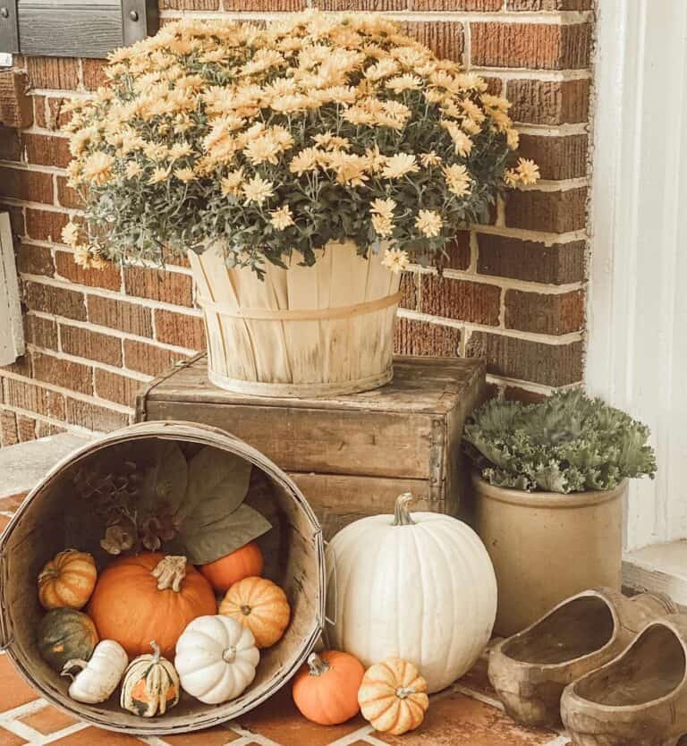 Cottage Porch With Yellow Flowers