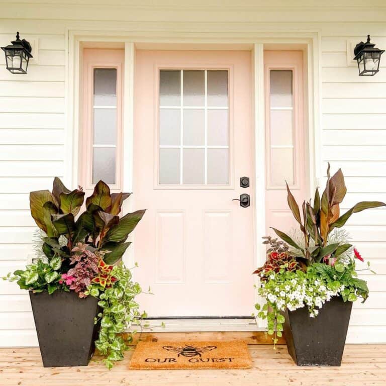 Large Planters Placed on a Porch
