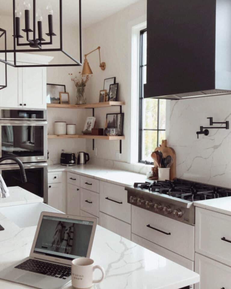 Modern Kitchen Decorated in Contrasting Tones