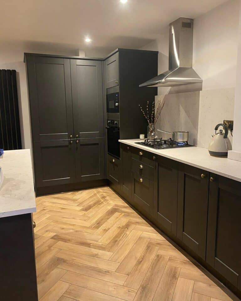 Modern Kitchen With Black Cabinets