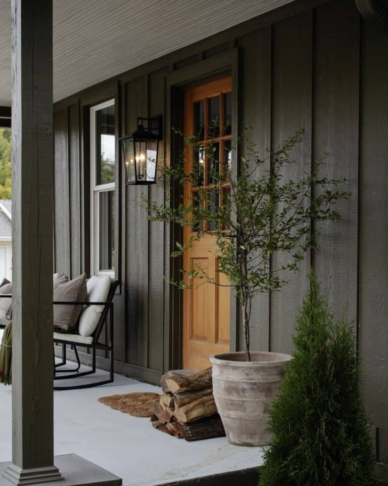 Modern Porch With Organic Accents
