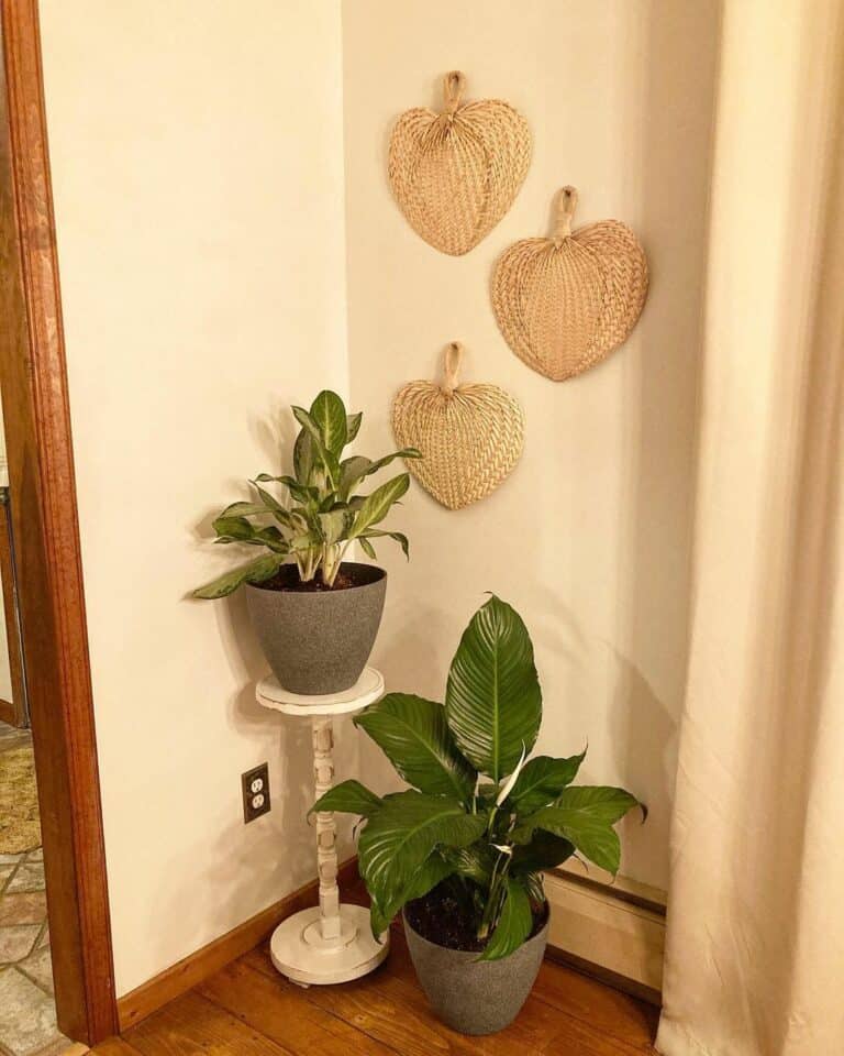 Plants Displayed in a Charming Corner