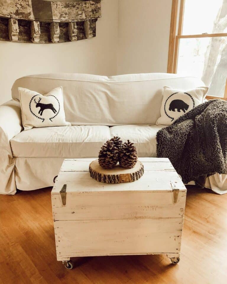 Simple Seating Idea With White Couch