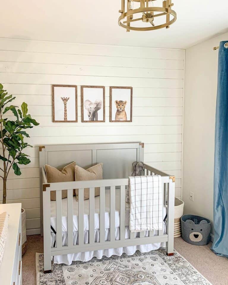 White Shiplap Walls With Animal Portraits in Nursery