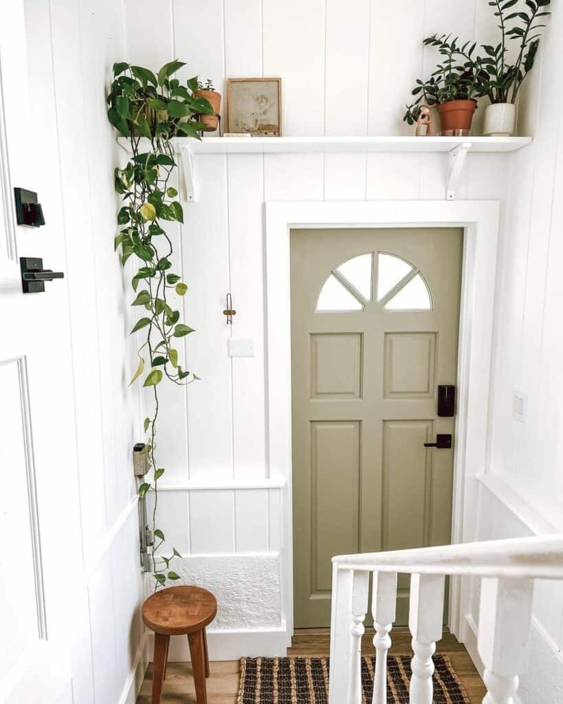 Above the Door Shelf Displays Potted Plants