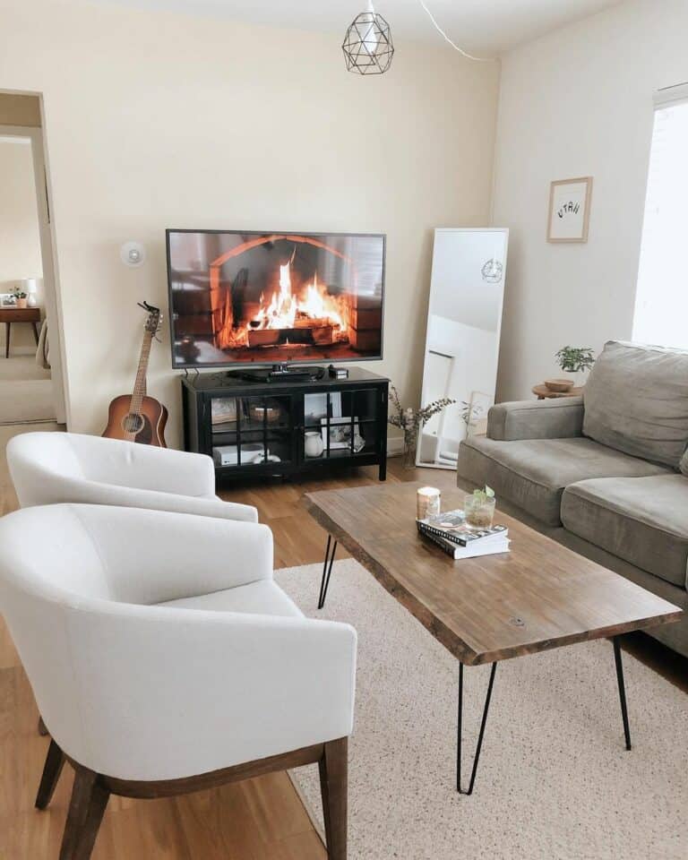 Contemporary Style Living Room