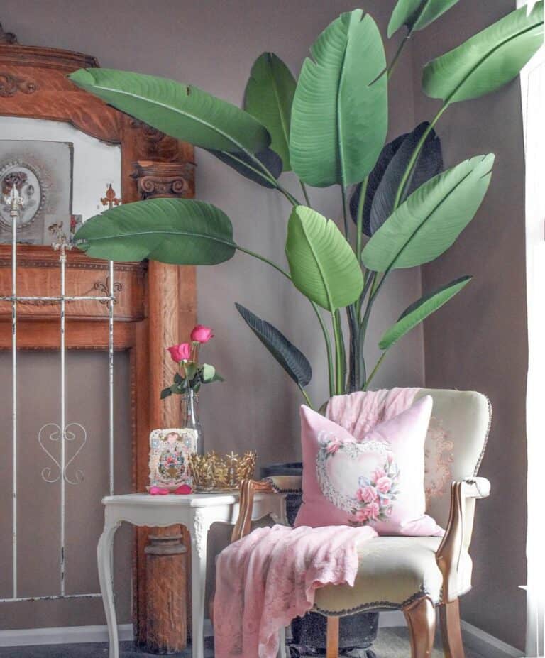 Country Cottage Living Room With Potted Plant