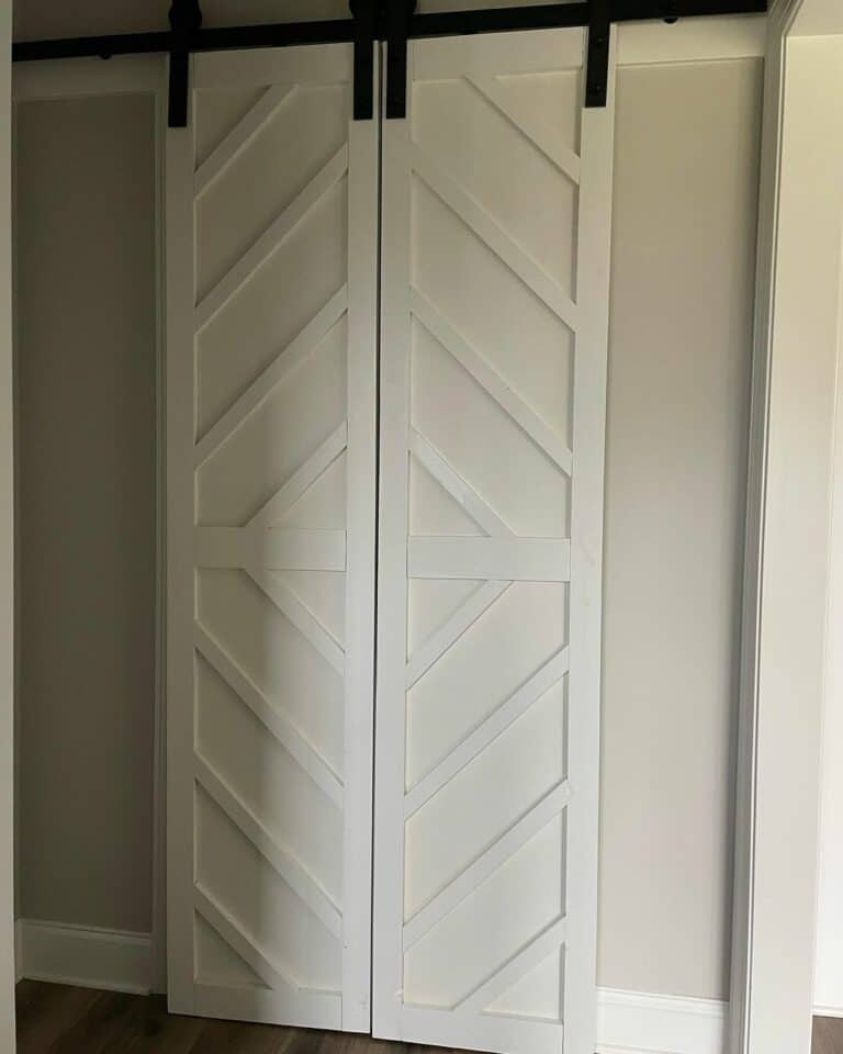 Double Doors With a Thin Design