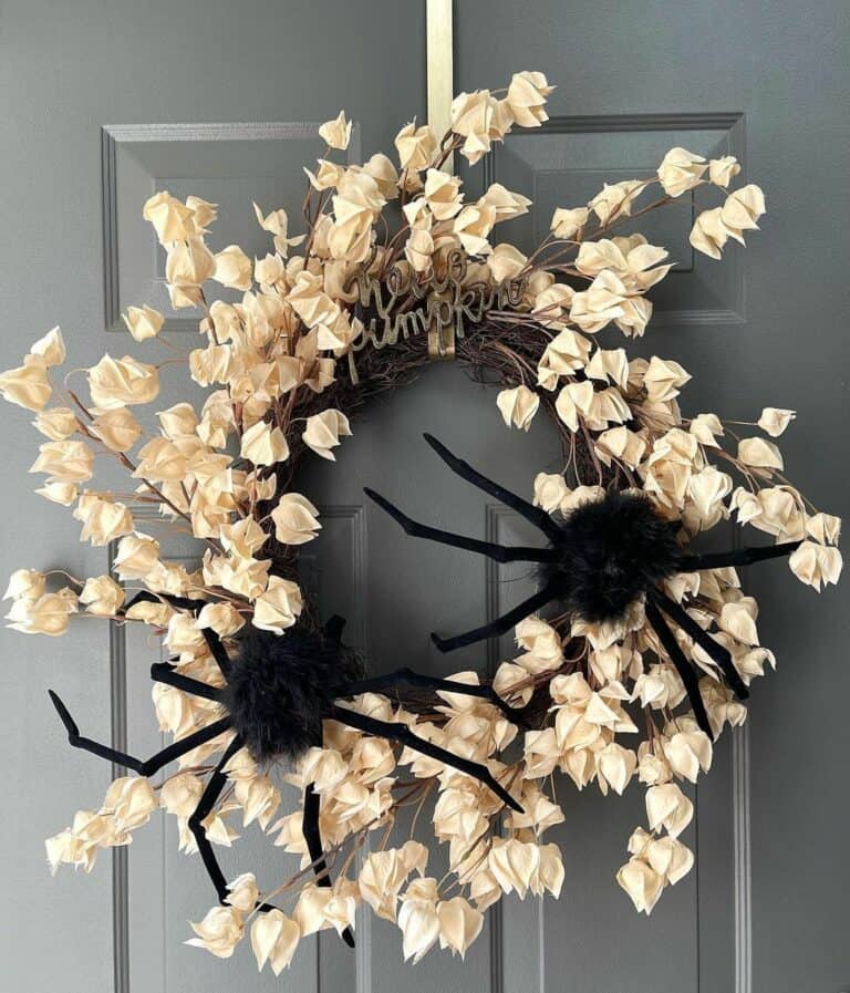 Gray Front Door With Spider Wreath