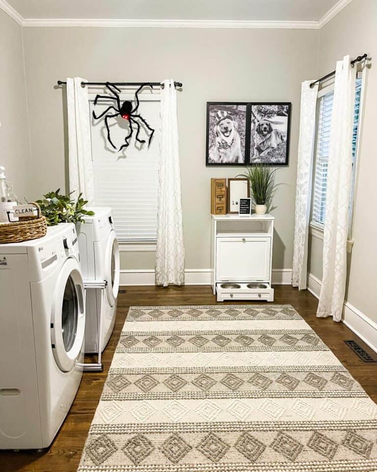 Laundry Room Lurker: Spider Alert!