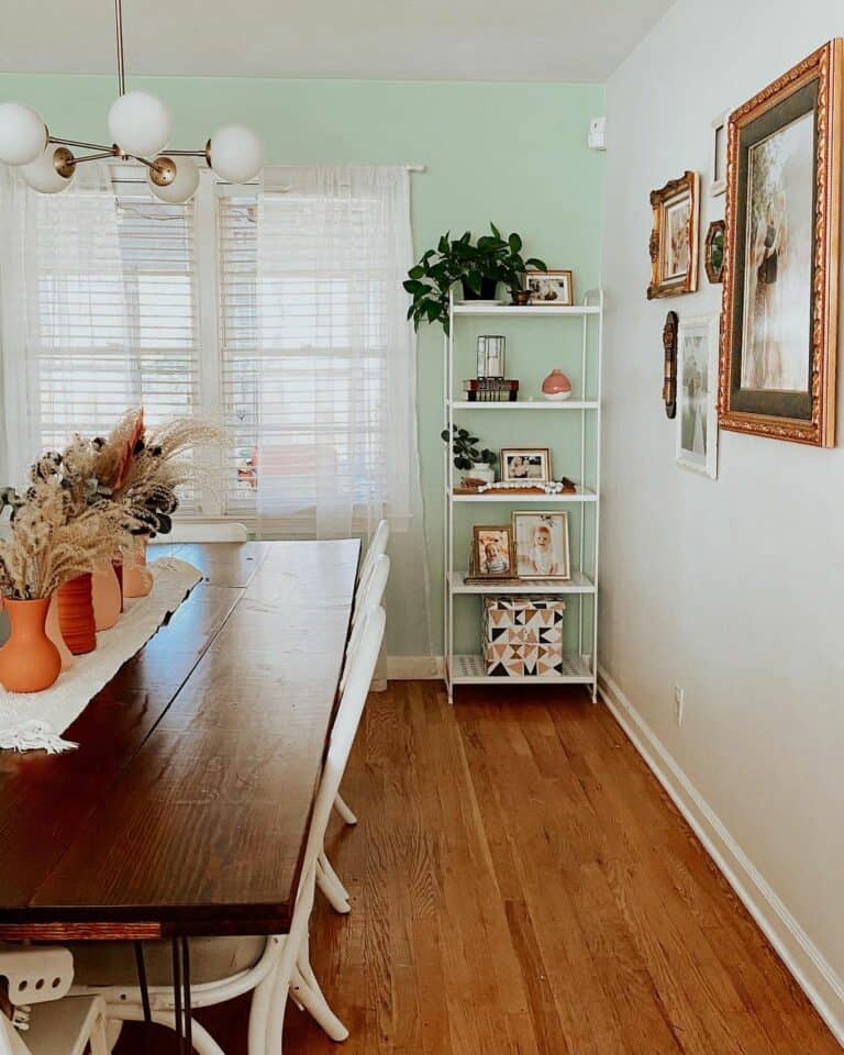 Mint Green Background to Enhance Shelving Décor