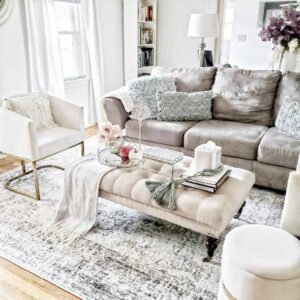 Modern Living Room With Gray Sofa