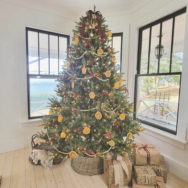 Oranges and Ornaments