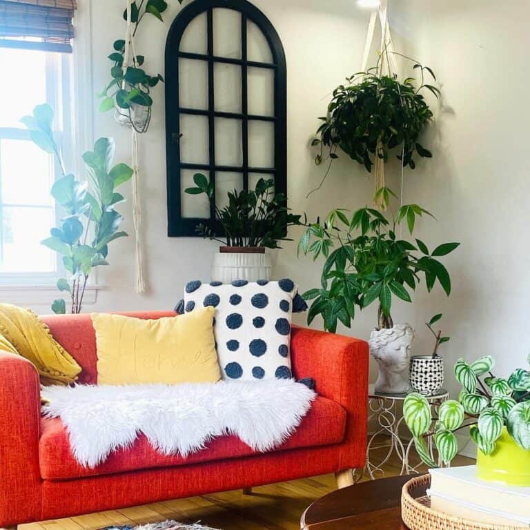 Plants Used as Indoor Accessories