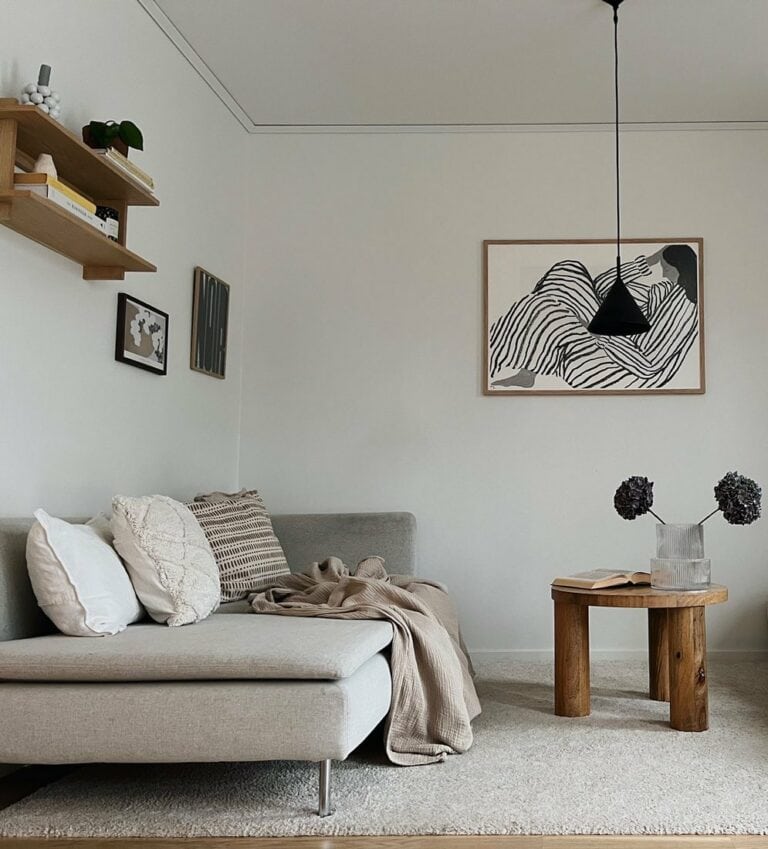 Scandinavian Living Room With Gray Sofa