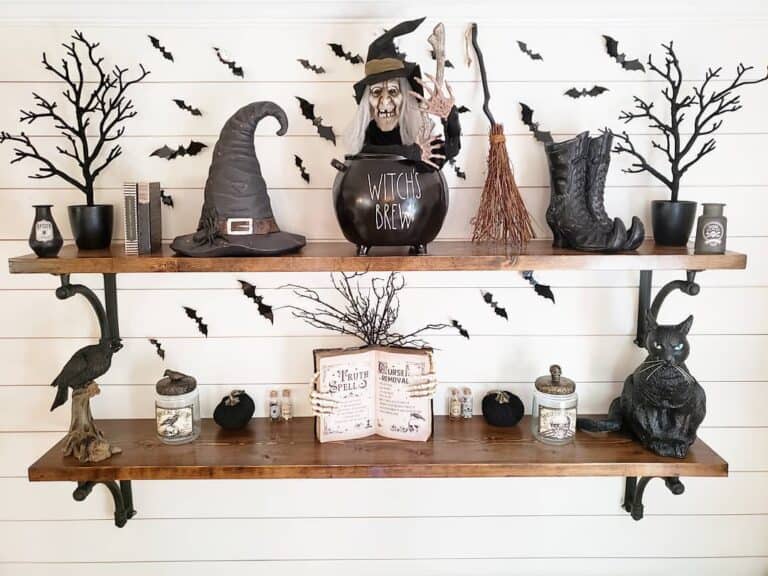 White Entryway With Halloween Black Cat Decorations