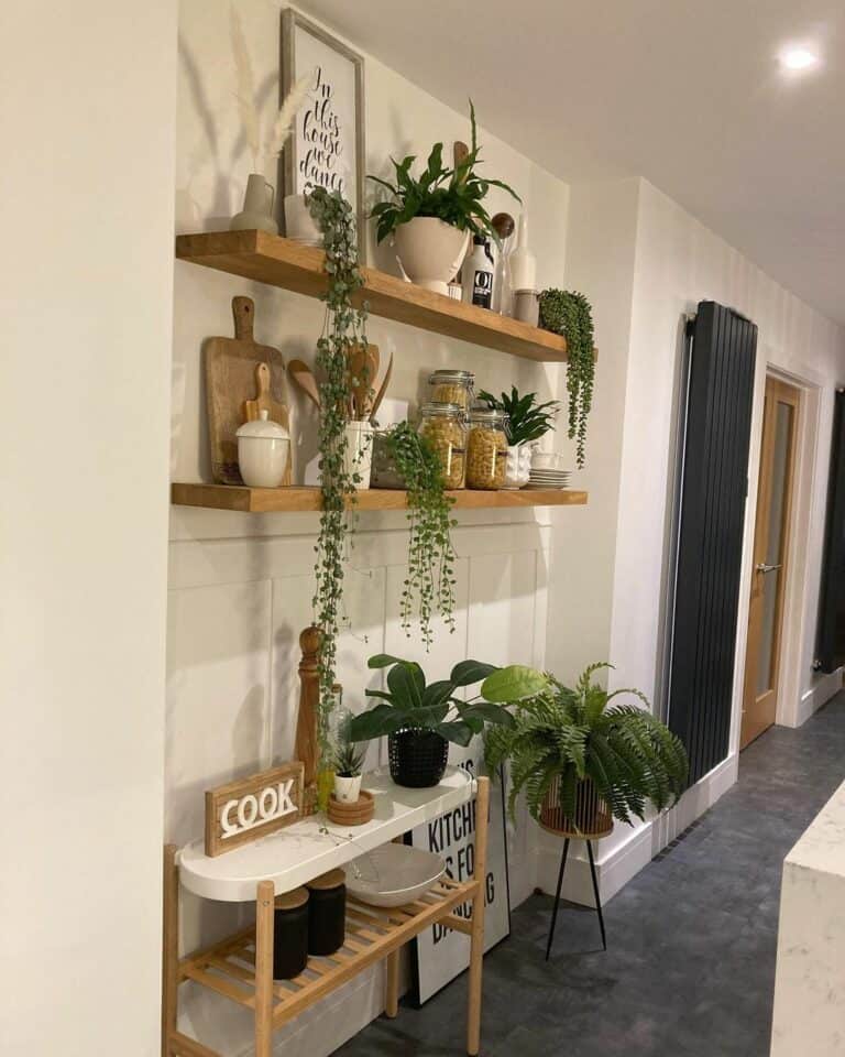 Wooden Floating Shelves Filled with Plants